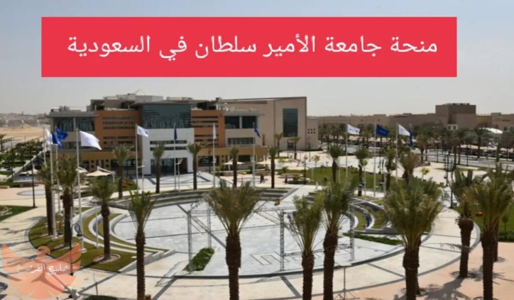 منحة جامعة الأمير سلطان للدراسة في السعودية مجاناً 2024